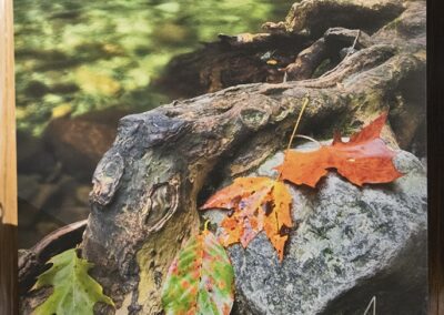 Affirmation Photography Anna Destefano